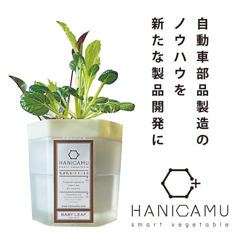 【HANICAMU】ブランド力と新たな広報ツールの可能性